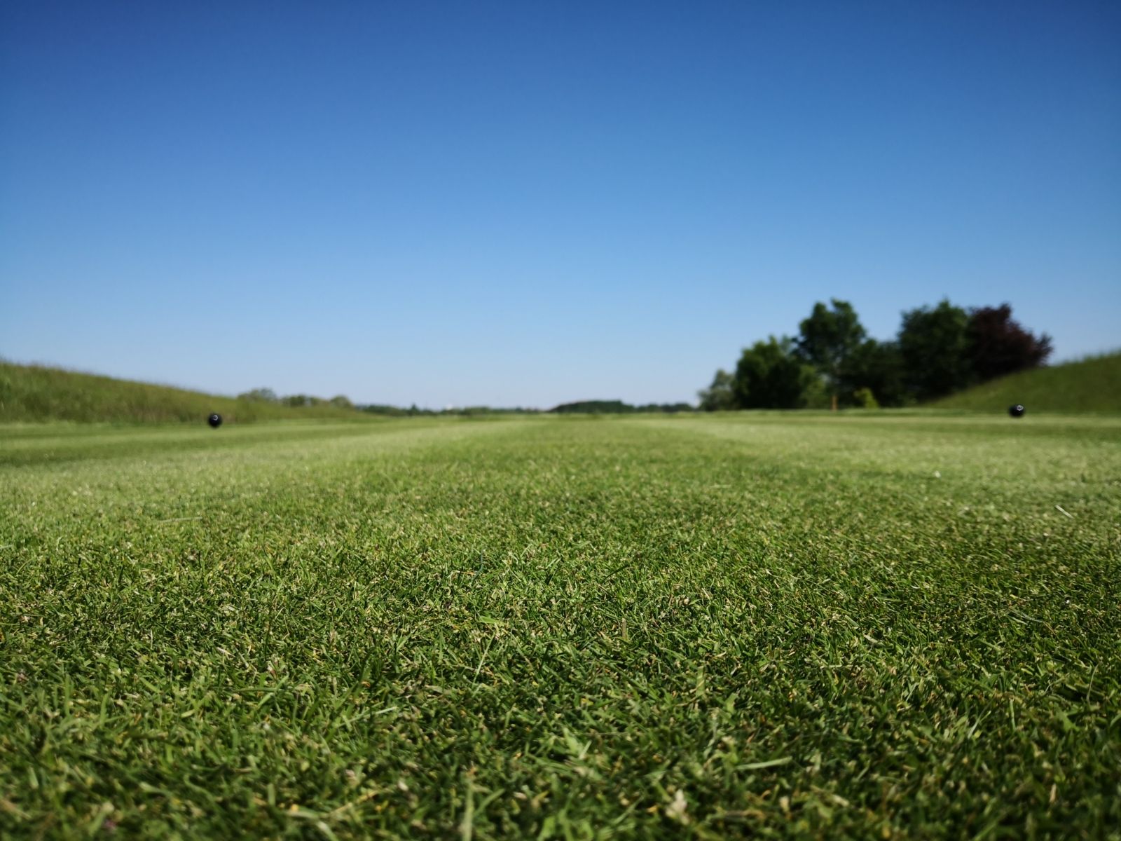 START-UP GOLF CHALLENGE